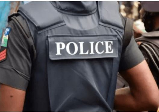 Police Urge Nigerians To Report Officers Without Name Tags