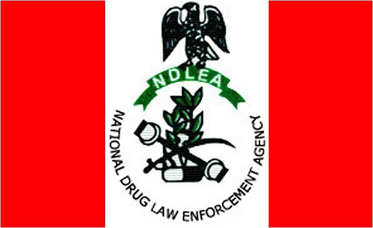 NDLEA, US-DEA Arrest Alleged Nigerian Drug Baron in Switzerland