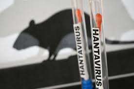 What You Need to Know About Hantavirus