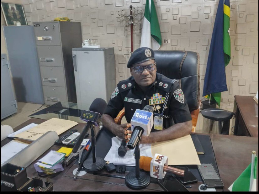 Police Launch Manhunt After Reported Rape Of 7-year-old In Nigeria