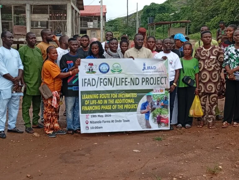 IFAD, FG Train 697 Young Farmers In Ondo To Boost Agribusiness