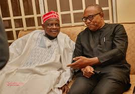 Peter Obi visits Kwankwaso after presidential screening, clearance