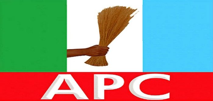 APC Governorship Primaries: Former I-G Alleges Results Manipulation in Nasarawa