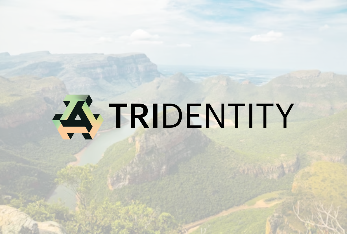 Trident Begins Commercial Rollout Of Ghana Revenue Authority Msme Digital Platform