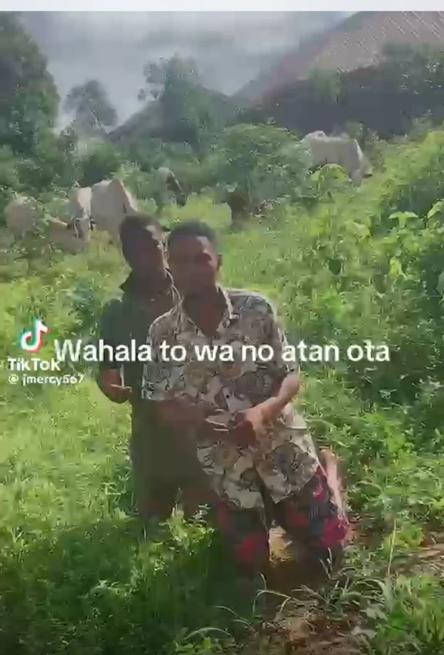 Tailor gains 1,000 followers after fake bandit invasion TikTok video — Police