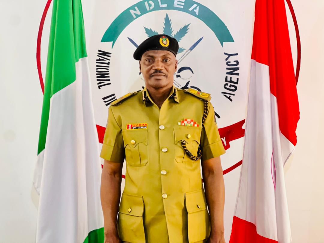 NDLEA Arrests 38 Suspects For Drug Peddling And Abuse In Kano