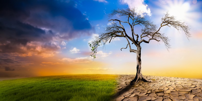 Climate change threatens food, national security — FG