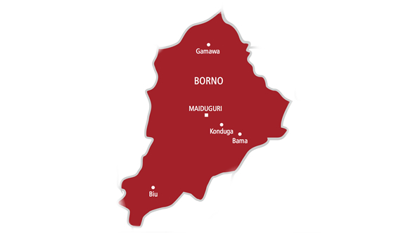 416 Borno Residents Freed After Months in Captivity – A Joyful Reunion