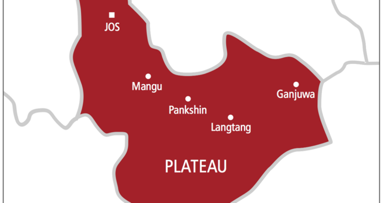 Plateau Dealers Sound Alarm: Fake Fertilisers Are Ruining Farmers’ Harvests and Pockets