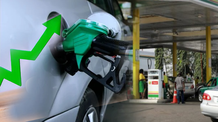 Nigeria’s Petrol Imports Plunge by ₦2 Trillion as Domestic Supply Improves