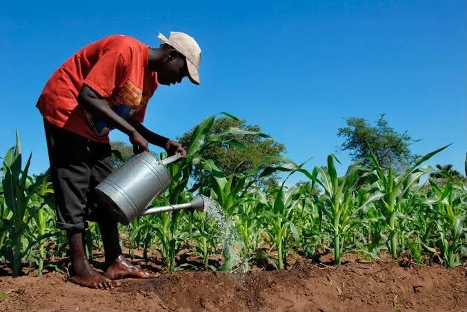 Daylong Group Moves to Tackle Fragmentation in Agricultural Supply Chain