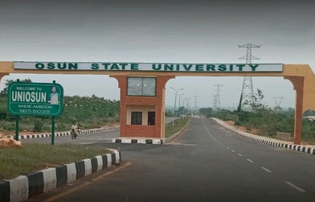 Osun: Soldiers Storm UNIOSUN Hostels…Attack Students