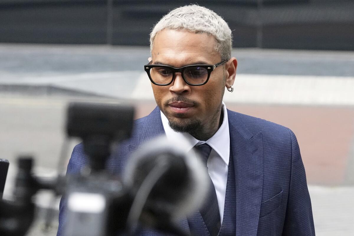 Chris Brown Ordered to Pay $13 Million in Dog Attack Lawsuit