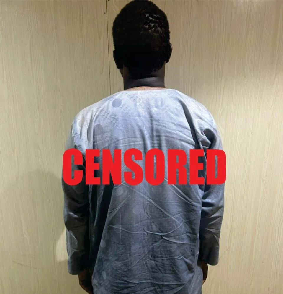 Army detains senior terrorist leaders after surrender in Borno