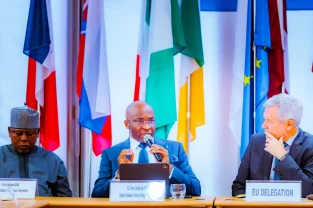 State Police Bill Has Safeguards Against Abuse, Deputy Speaker Tells EU