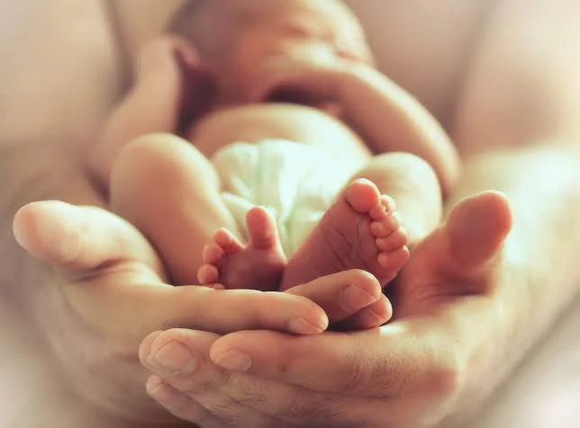 UN blames economic hardship, not feminism, for declining global  fertility