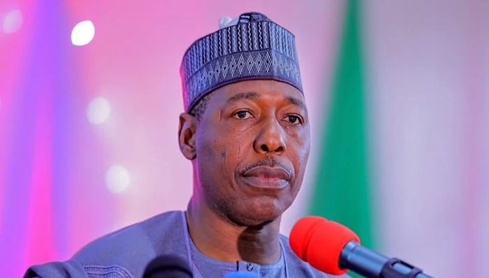 Borno gov employs 100 graduates to curb thuggery