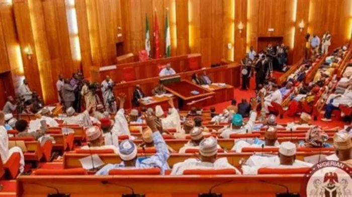 Senate seeks 15-year jail term, asset forfeiture for fake drug dealers