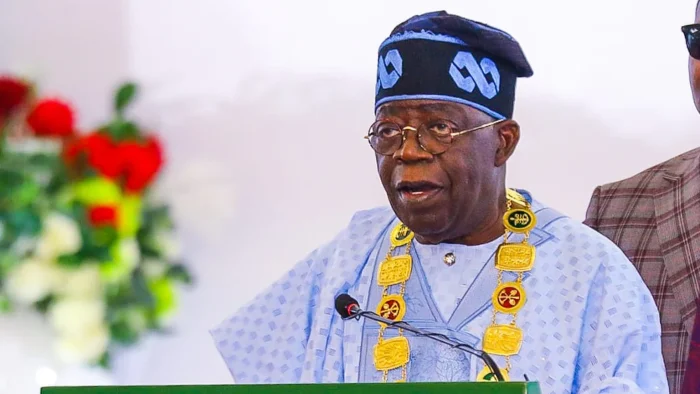 Budget delays threaten Reps re-election bids, turn up heat on Tinubu