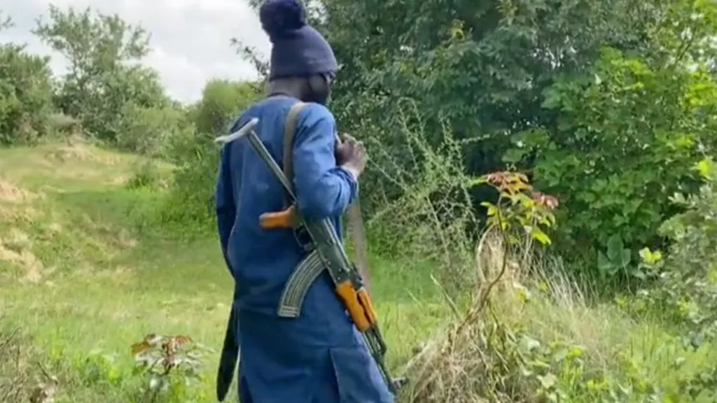How bandits killed my husband, child, took five others — Katsina survivor