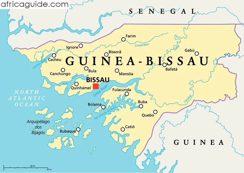 Court returns Guinea Bissau opposition leader to prison over coup plot