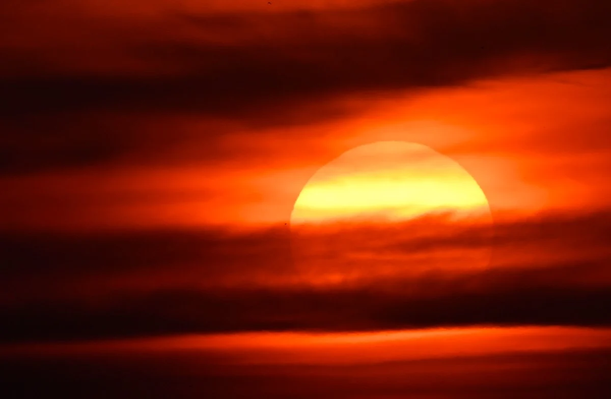 Over 2,700 may have died due to England heatwaves — Researchers