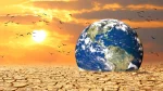 Stakeholders Call for Increased Investment in Nigeria’s Green Economy
