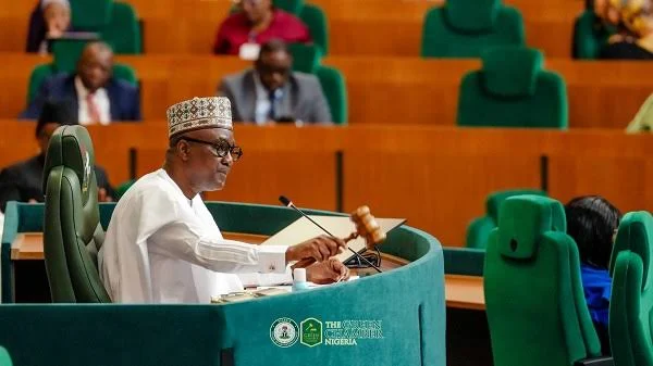 Reps dump own state police bill, adopt Tinubu’s version