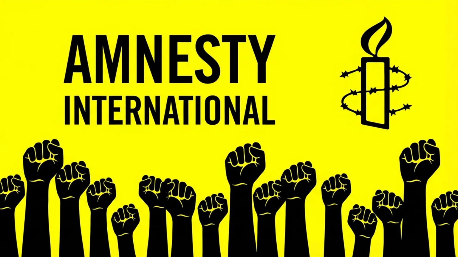 Amnesty Int’l partners Imo female lawyers to curb GBV