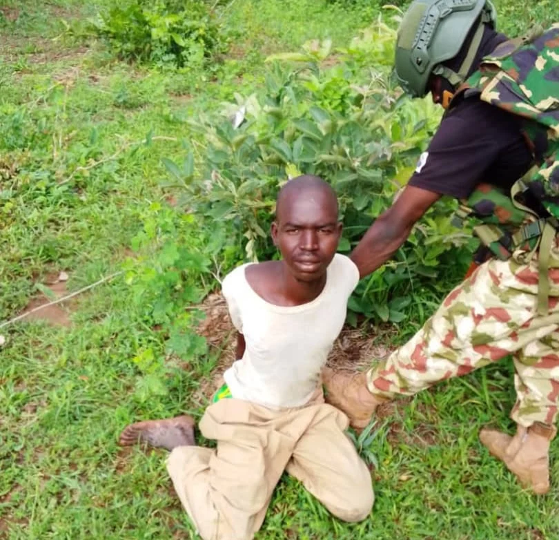 Soldiers arrest Sudanese man, Ghanaian woman in Borno forest