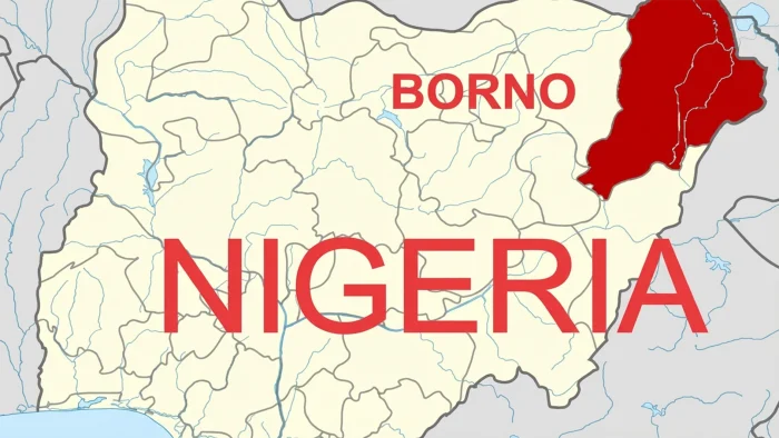 2027: Borno forum endorses Ali as Gubio’s running mate
