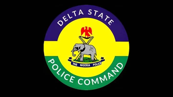 Police foil suspected Black Axe initiation ceremony, recover firearms in Delta forest raid