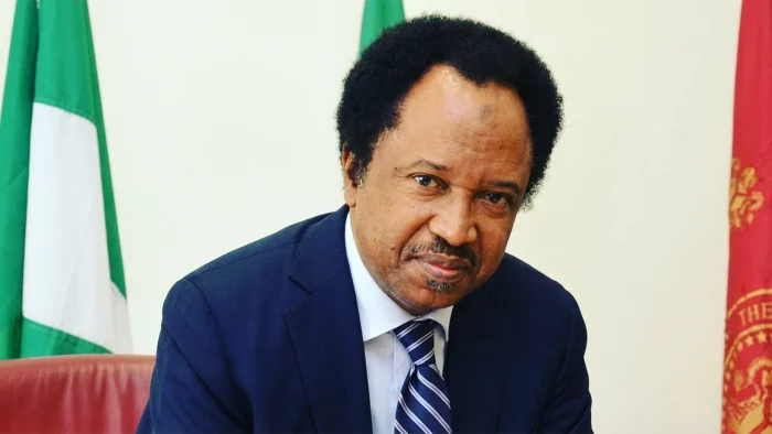 Shehu Sani faults Atiku camp’s US lobbying over Tinubu, warns of diplomatic fallout