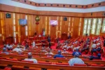 Senate clears path for stronger insurance regulator with new bill