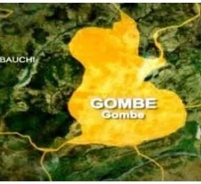 Gombe community rejects proposed farmland acquisition for private university