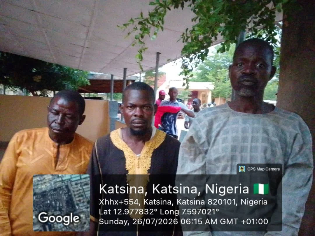Troops rescue kidnap victim, recover 126 rustled livestock