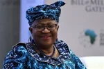 Ex-Aviation Minister Says Okonjo-Iweala Convinced Him Against ‘Japa’