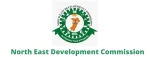 NEDC Proposes ₦100 Billion Solar Power Project for North-East