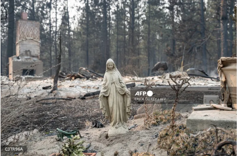 Wildfires raze neighbourhoods in US
