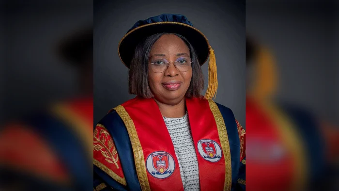 Nigeria has brains but lacks enabling environment, says UNIMED VC
