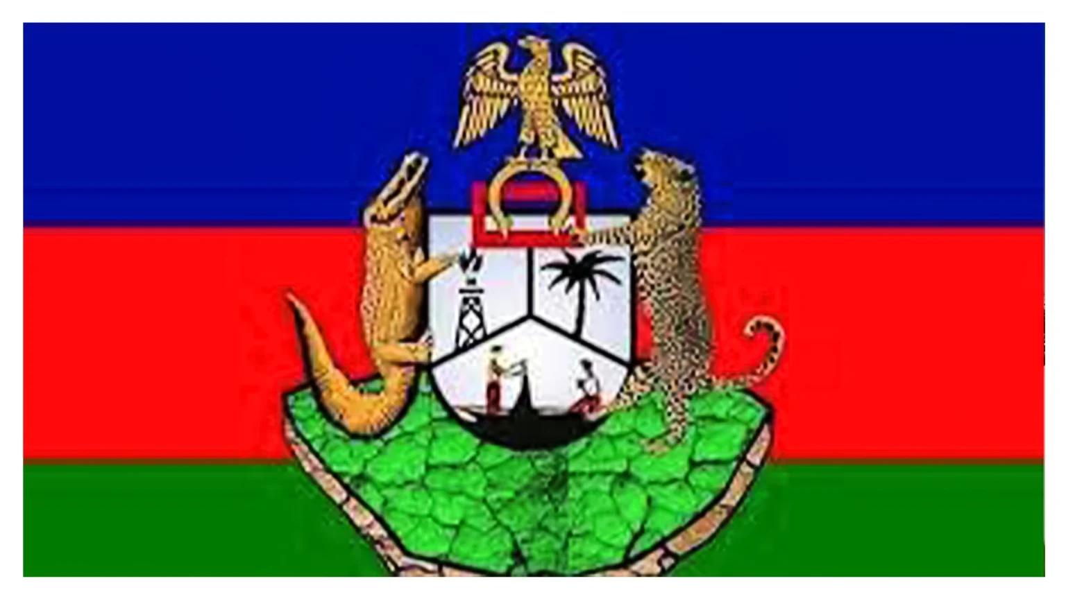 Ijaw youth coalition backs civil service digital reforms