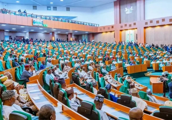Nigeria’s Democracy Nosediving, Reps Group Warns