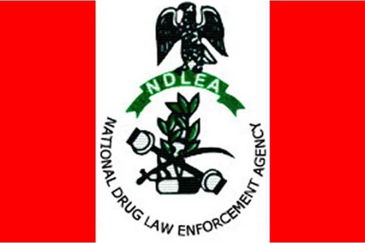 NDLEA Intensifies Crackdown on Drug Hotspots Across Ogun