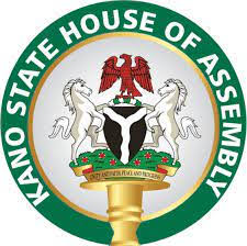 Kano Diphtheria Outbreak Claims More Than 50 Children, Lawmakers Raise Alarm