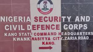 NSCDC Nabs Two Over Alleged Cattle Rustling in Kano