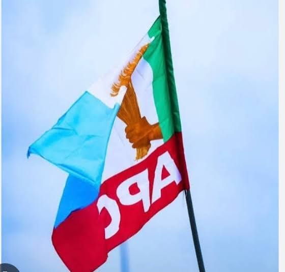 Diaspora APC Groups Demand Role in Presidential Campaign Council
