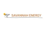 Savannah Energy Posts $160.6m Revenue, Cash Collections Up 13%