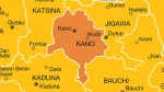 Diphtheria Outbreak: Kano Appeals for Vaccines After 50 Deaths