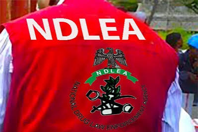 NDLEA Seizes N6.2bn Worth of ‘Jihadi Drug’ and Opioids at Lagos Airport