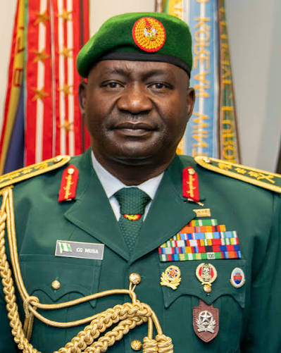 Defence Minister Assures Nigerians Abroad of Stronger Security Measures
